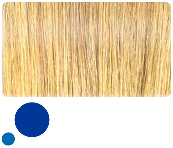 blonde - farbe haarverdichtungsspray salon in a bottle