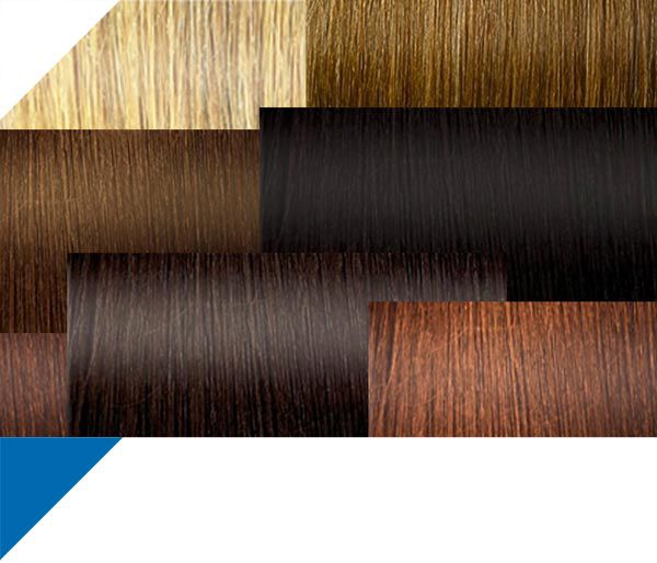 haarverdichtungsspray salon in a bottle - farben